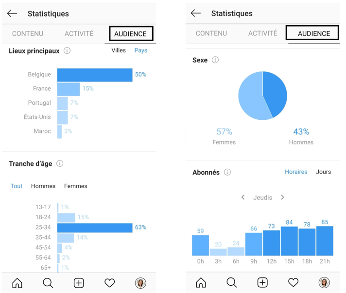 Instagram - Les statistiques sur l'audience